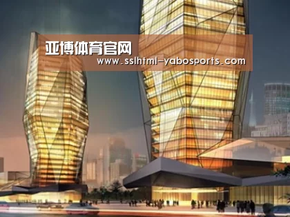 案例展示三