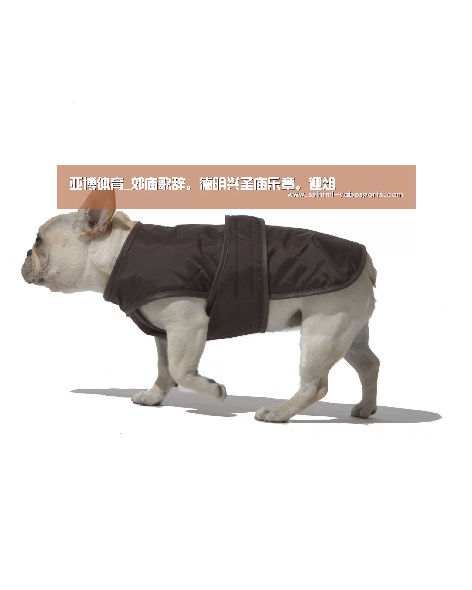 亚博娱乐